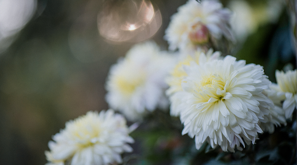 blog_post4